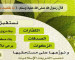 زكوات نقدينة