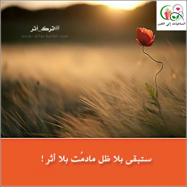 ستبقى بلا ظل لو بقيت بلا أثر